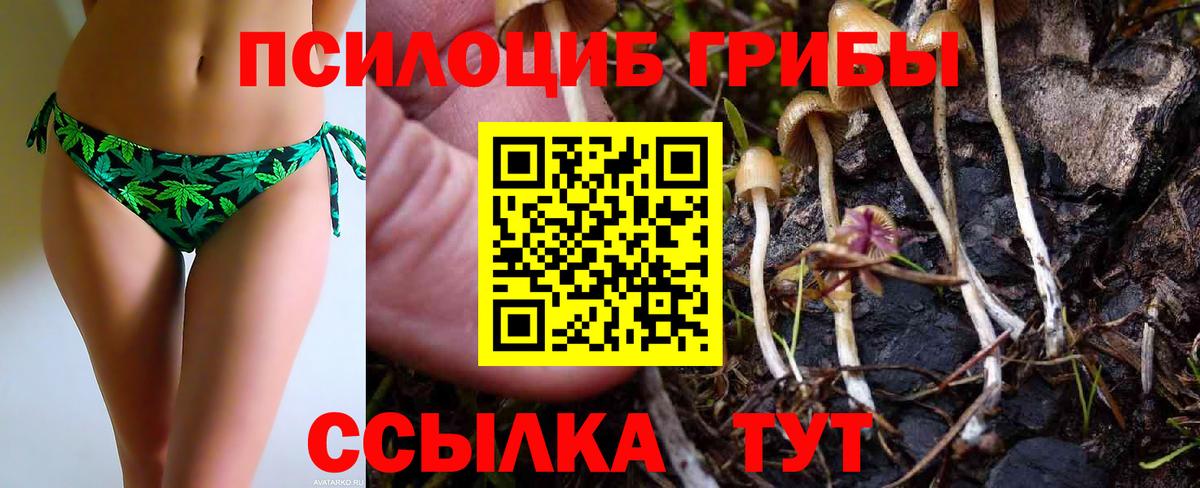 Галлюциногенные грибы Magic Shrooms Бахчисарай